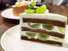 -竹子咖啡bamboo coffee