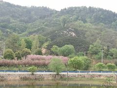 -董寨国家级自然保护区白云保护站