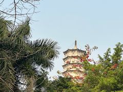 -深圳国际园林花卉博览园