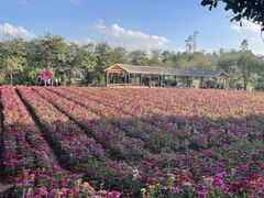 -梅州天地人花园酒店(梅县人民广场店)