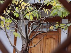 -安仁古镇
