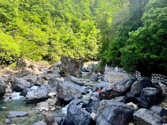 -石台牯牛降景区