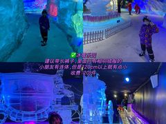 -海合安成都极地海洋公园