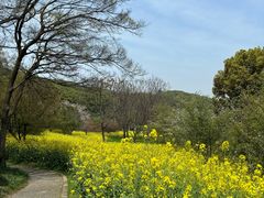 -苏州上方山国家森林公园