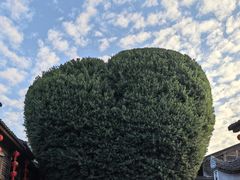 -文儒九号·闽菜馆(三坊七巷店)