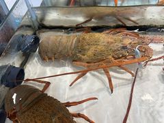 -万龙洲海鲜(南新仓店)