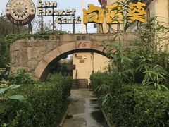 -向日葵咖啡