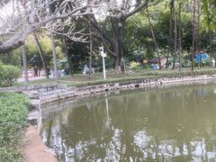 -晓港公园