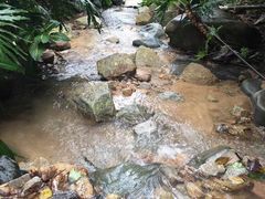 -火炉山森林公园