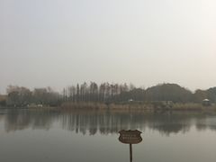 -尚贤河湿地