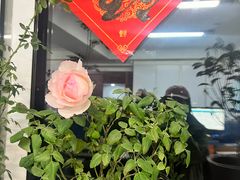 -锅儿挑面馆