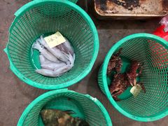 -海恋园海鲜餐馆