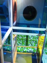 -KidSteam儿童乐园(富力城店)