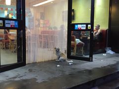 门面-菊花女水饺(闻涛苑店)
