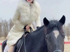 -北京群众马术培训基地