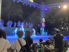 -渔家火锅·海鲜自助餐·演艺(亚龙湾天域酒店)