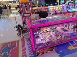 -Fang Fang Monkey·方方猴(国瑞购物中心店)