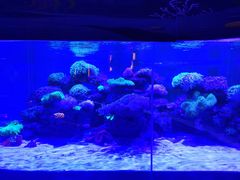 -上和臻品中国菜(花园街店)