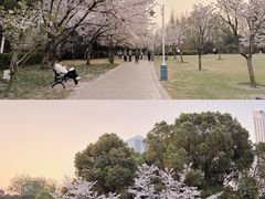 -新虹桥中心花园