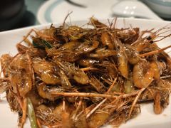 油爆河虾-西塘人家•黑金冠本地好店