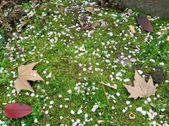 -雨花台烈士纪念馆