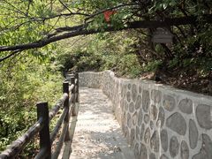 -神农山景区