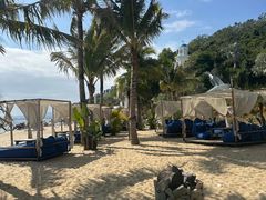 -精酿农场Brew Farm·沙漠绿洲餐厅