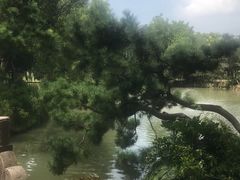 -上海醉白池公园