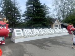 -日照海滨国家森林公园