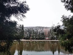 -武陵山森林公园
