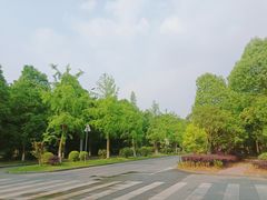 -国色天乡三期陆地乐园