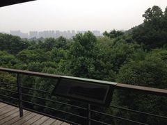 iphone_upload_pic-西湖风景区-江洋畈生态公园