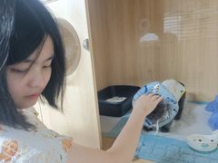 -谐和贝康宠物医院24小时·宠保定点(急重症转诊中心)