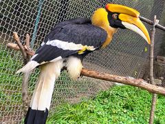 -哈尔滨北方森林动物园