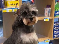 -瑞派康怡24h宠物医院·犬猫医疗中心·微创绝育(瑞景分院)