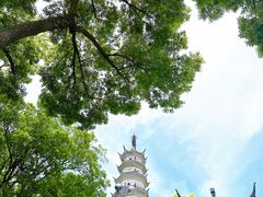 -苏州上方山国家森林公园