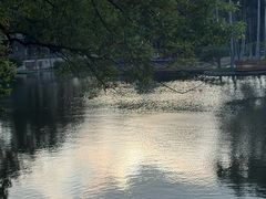 -荔湾湖公园