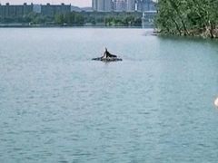 -南湖国家城市湿地公园