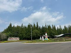 -东平国家森林公园