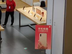 -小米之家(东方宝泰购物中心店)