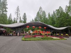 -东平国家森林公园