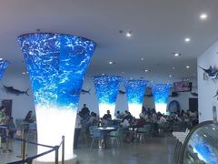 -深海中餐厅(国家海洋博物馆店)