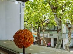 -笃笃笃糖粥(十全街店)