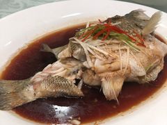 -沈阳玫瑰大酒店