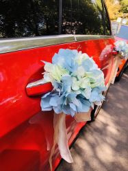 -宁波甬诚婚车(新典路店)