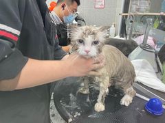 -宠物家(大兴旧宫店)