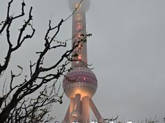 -东方明珠老上海8号餐厅(东方明珠广播电视塔店)