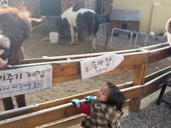 -HERRE·FARM 赫尔露营农场·团建聚会包场