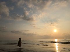 -贝壳沙滩