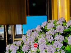 -索拉古贝(义乌北苑店)
